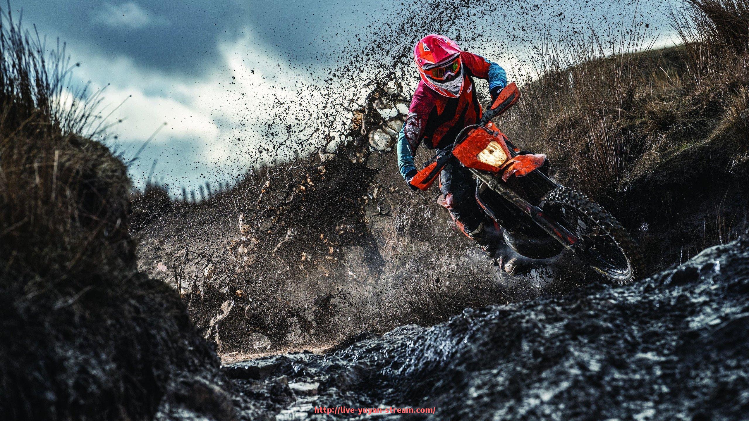 雨燕直播-如何收看西甲直播最快最稳定的方式详解