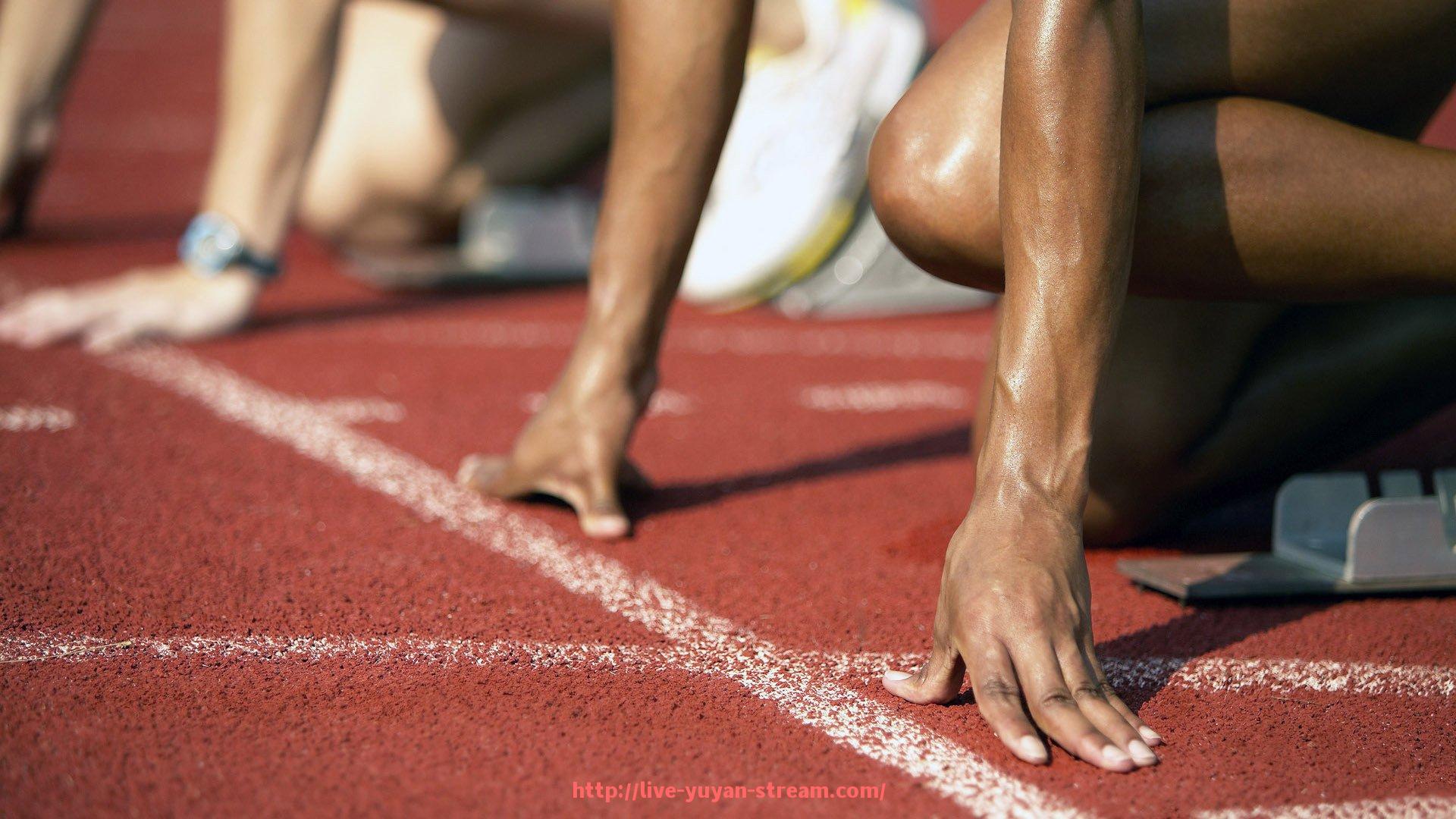雨燕直播-世俱杯球迷行为规范手册内容发布,规范赛事期间观赛行为