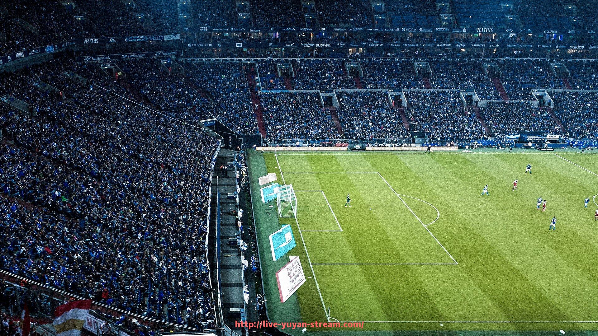 雨燕直播-健身器材中竖脊肌训练设备的功能与使用方法