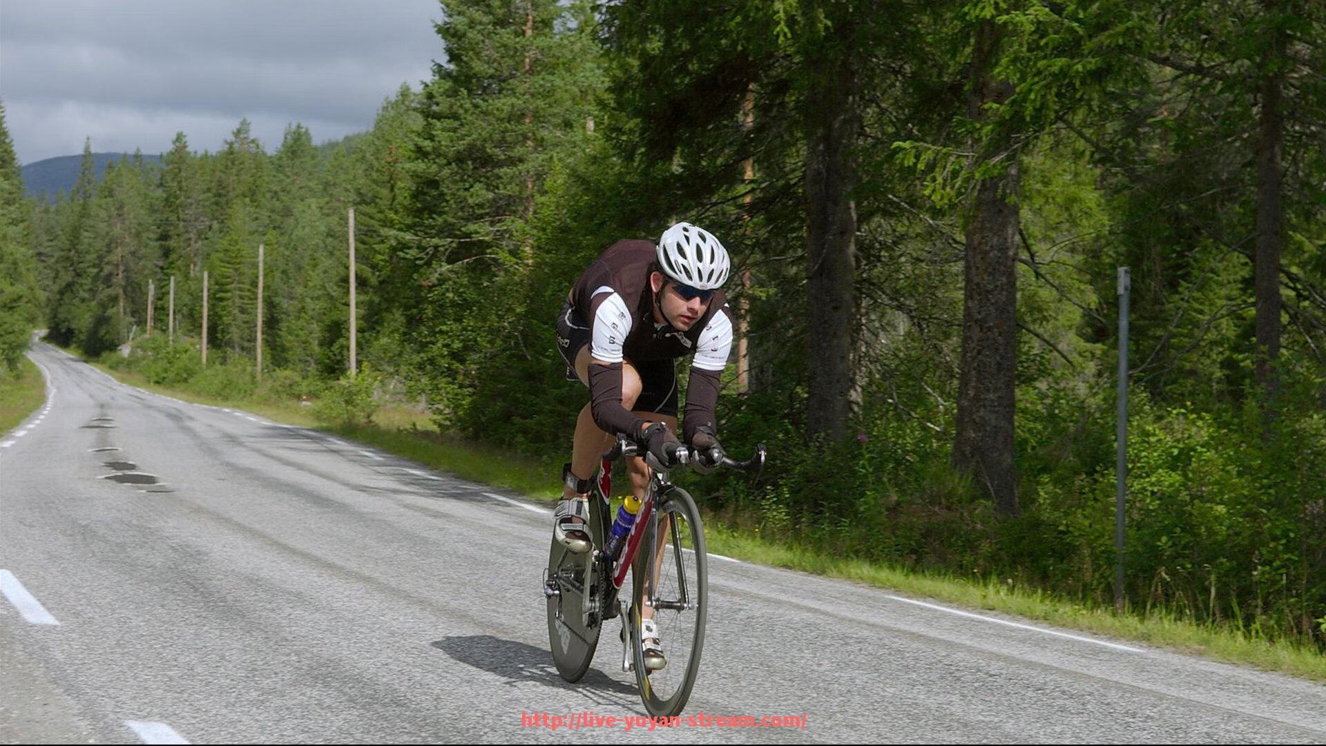 雨燕直播-欧冠球赛与传统足球联赛的赛制对比与观赏性分析