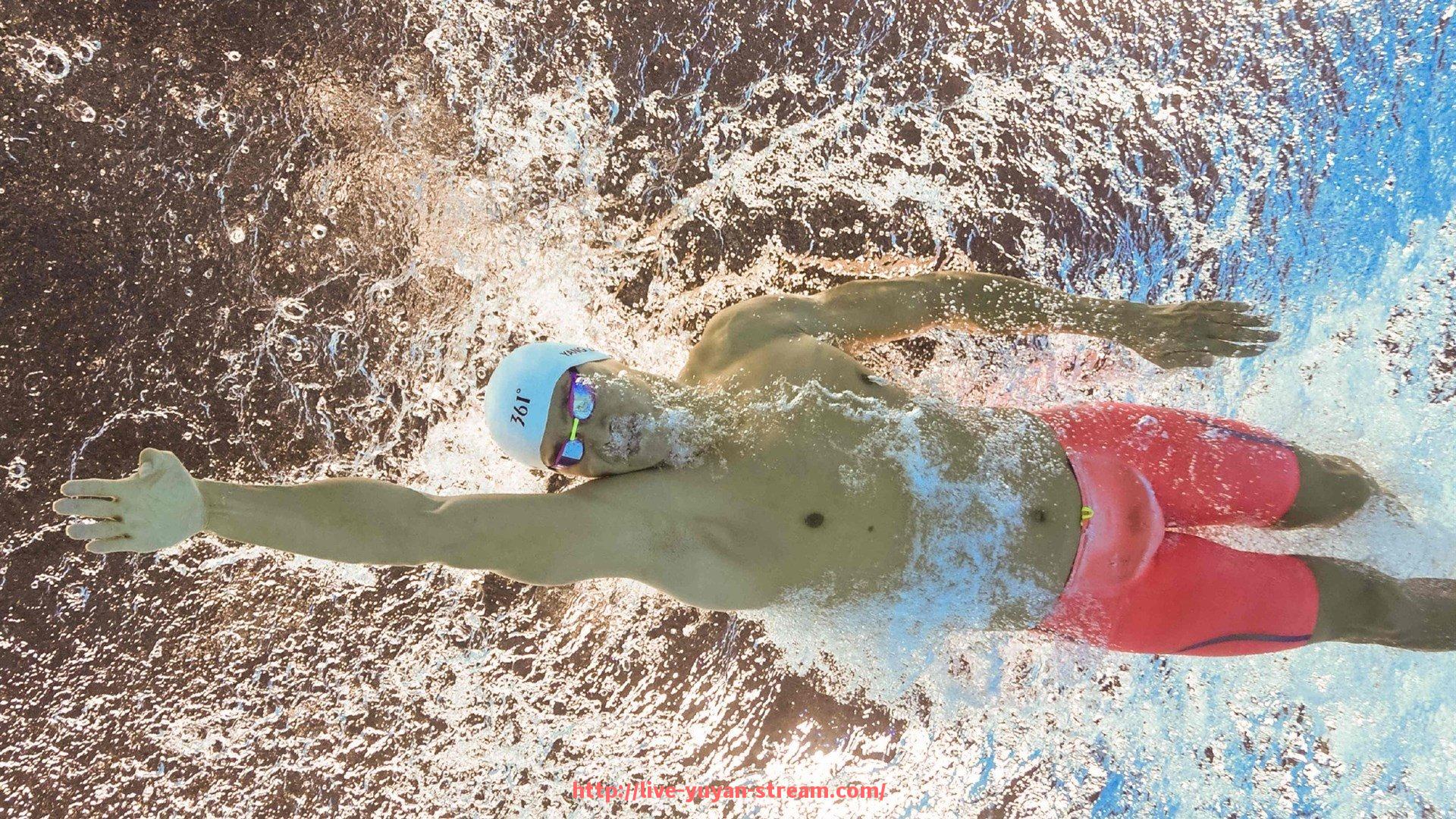 雨燕直播-英派斯健身器材公司的发展历程