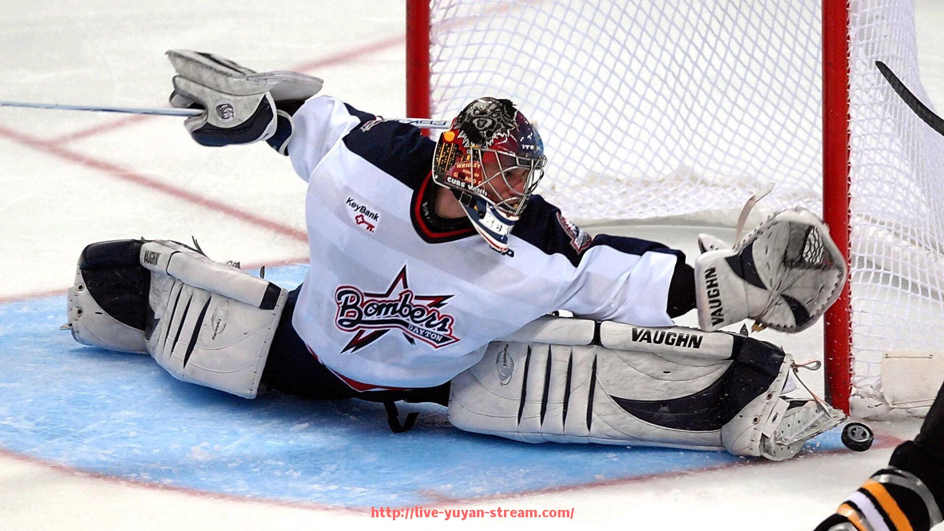雨燕直播-关注德甲球队的原因及其体育文化价值探讨